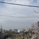 GS25수원화홍점 이미지