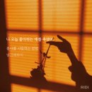 노이솝 | 2025 로판로맨스 연말결산