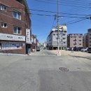 부원복어 | 해장 제대로 되는 경산맛집, 부원찜복어 복어탕 내돈내산 후기