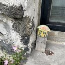 달나비 민박 이미지