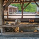 만실목장 이미지