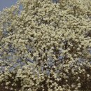 강당초등학교 이미지