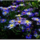 청화농장 이미지