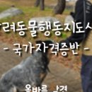 올바른참견 이미지