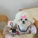 태루공방 네이버블로그