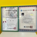 헬로똘복 네이버블로그