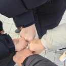 스카이라인루지통영 주식회사 | 통영 가볼만한 곳 스카이라인 루지 여행특공대 티켓으로