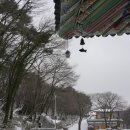 제주불교성지 순례길 절로 가는길 - 인욕의 길 이미지