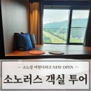 소노캄 비발디파크 소노러스 객실 예약 및 투어 후기