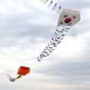 기연 뉴시스