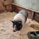 송산목장 이미지