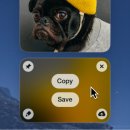 클린샷(CleanShot) 이미지