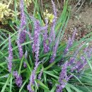 순천장어명가 이미지