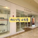 체스넛주 이미지