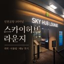 블루샥인천 - 부평구 주부토로 236 | 인천공항 1터미널 스카이허브라운지 위치 및 이용 후기