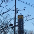 그레이스뷔페 이미지