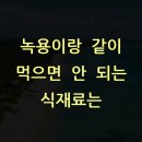 녹용이랑 같이 먹으면 안 되는 식재료는