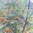 한림정역 이미지