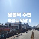 신음동 제일병원 진입로(대로) ~ 제일병원 정문앞 ~ 롯데마트주차장입구 | [수원 영통역 주변 아파트] 임장후기 2부