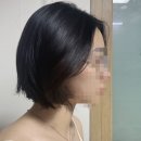 디벨롭헤어 | 동탄 영천동 미용실 헤어디벨롭 다녀온 후기❤️