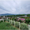 곡성-169 이미지