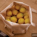 제나의 공방 이미지