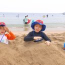 세븐일레븐진하비치점 | 진하해수욕장 파라솔 튜브 구명조끼 무료대여 취식