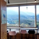 구례 산수유마을 산동북까페 후기, 전망 좋은 언덕위 북까페