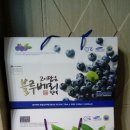 삼성제약건강 - 부산진구 | 삼성제약건강