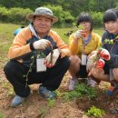 하늘닿은더덕마을영농조합법인 이미지