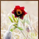 한재공원 이미지