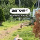 제이그라운드 이미지