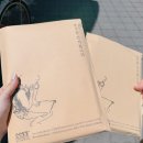 차 _현대밀면 ㅣ 우연의무늬 ㅣ 탁 TAK! ㅣ 소소밀밀 ㅣ 유프롬유 ㅣ 우양미술관 ㅣ 경주천년한우 보문점