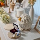 가온해 | 👶집에서도 충분히 예쁜 백일상｜내돈내산 가온해테이블 후기🌸