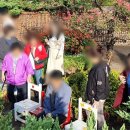 제주미니버스투어 이미지