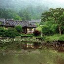 허유