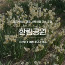 수선화 | [제주/한림] 제주 서쪽여행 코스 가볼만한 곳 ‘한림공원’, 내돈내산 후기(수선화, 입장료 할인)