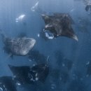 봄앤조이 스테이 이미지