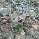 영월 동강오토캠핑장 이미지