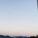 새들의 아침 이미지