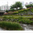 장미공원 이미지