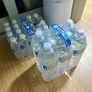 유한회사 동서로식자재마트 | [일상다반사] 새로운 아깽이와 보내는 어느 가을날의 일상이야기