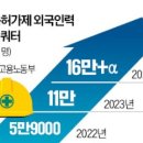 월드인력개발 이미지