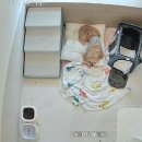 꼬모댕 프라이빗 애견호텔 이미지