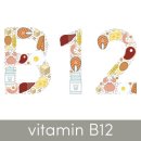 B12-2 이미지