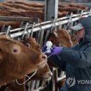 이민호농가 이미지