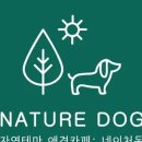네이처독