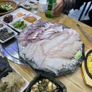 수다떠는오징어형제수산