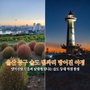 울산 동구 슬도 댑싸리 주차장 방어진 노을과 달빛에 빛나는 등대 야경 풍경