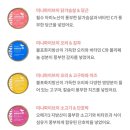 파이닥터